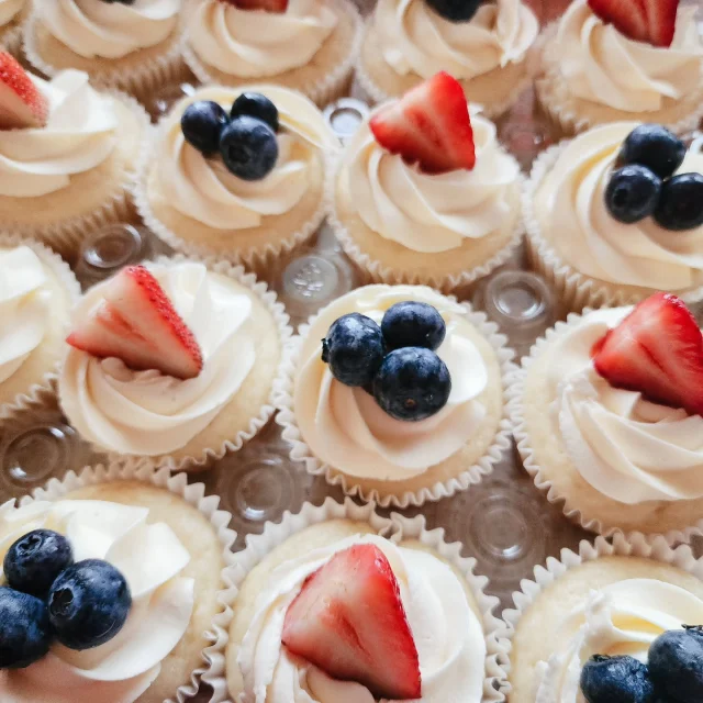 Cupcakes 🍓🫐🍓🫐

#cupcakes #cupcakesofinstagram #marysvilleohio #richwoodohio #ohiosmallbusiness #columbusfoodie